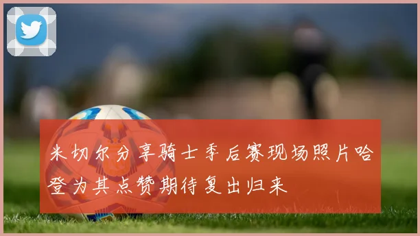 米切尔分享骑士季后赛现场照片哈登为其点赞期待复出归来